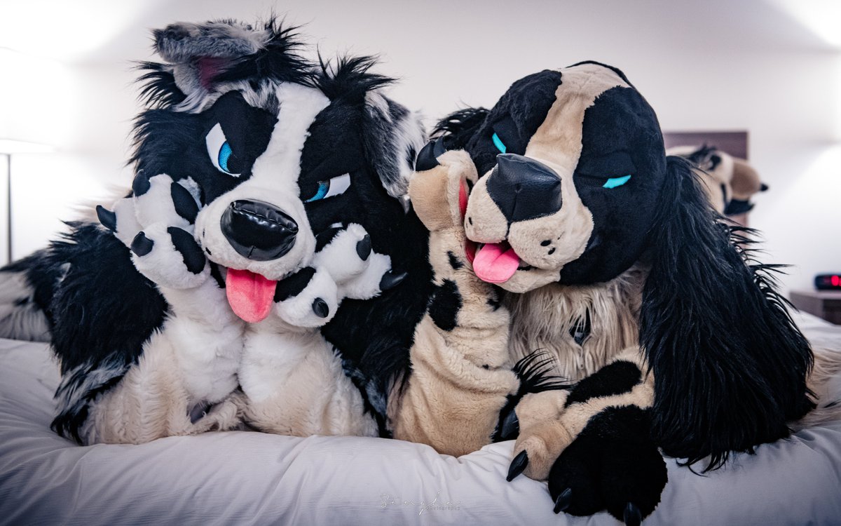 Softness 😌 tweet media