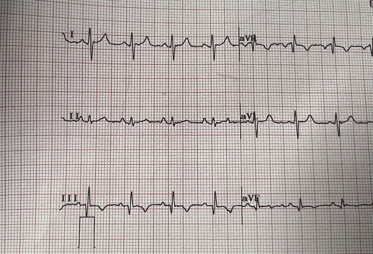 Orlando RPN tweet media