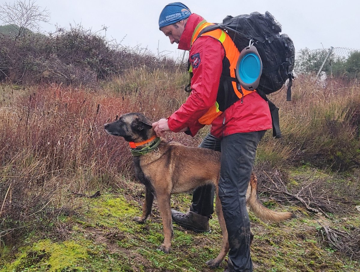 Escuela Española Salvamento y Detección con Perros tweet media