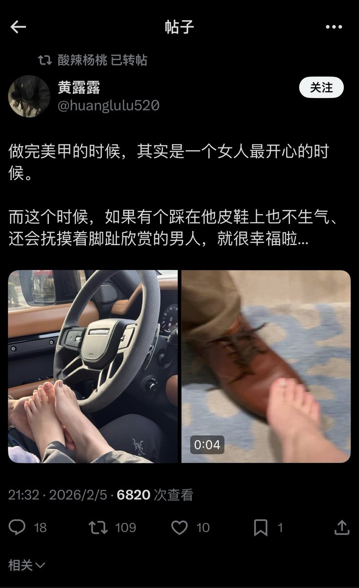 廿禾📷 tweet media