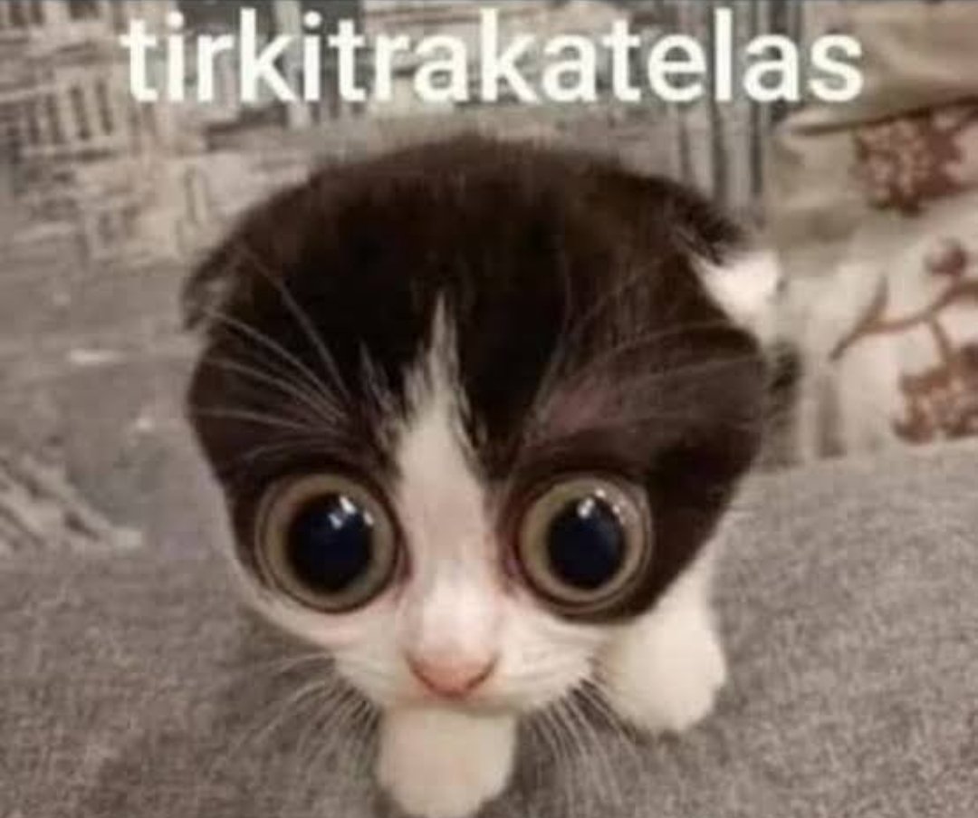 David Núñez Ríos tweet media