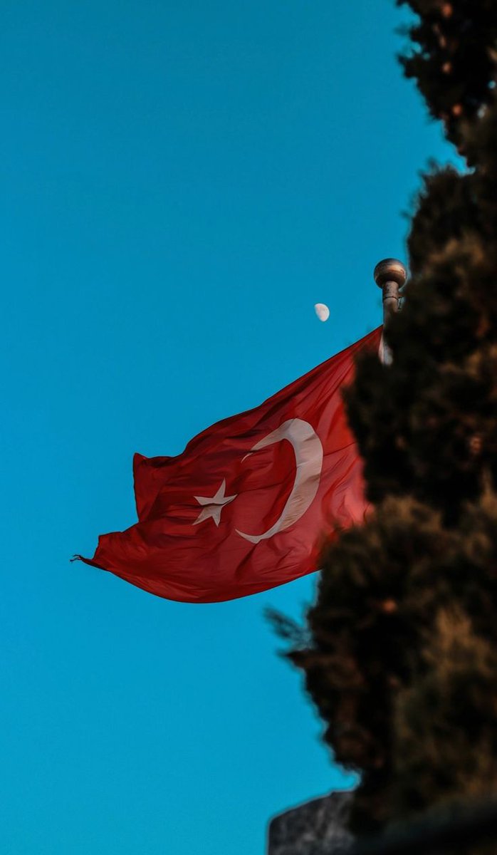 Şah-ı gülistandan güzelsin güzel