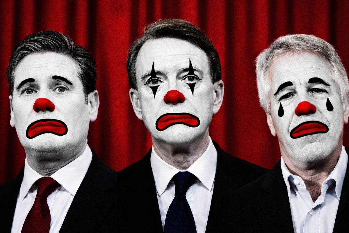 Political P.I.G. tweet media