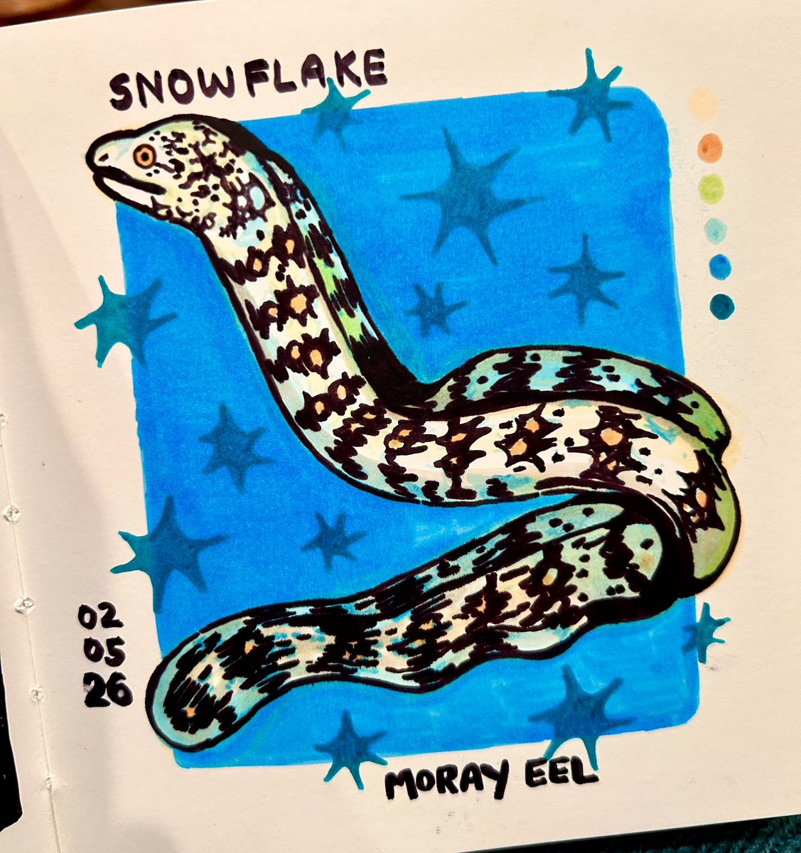 fish february day 5: snowflake moray eel