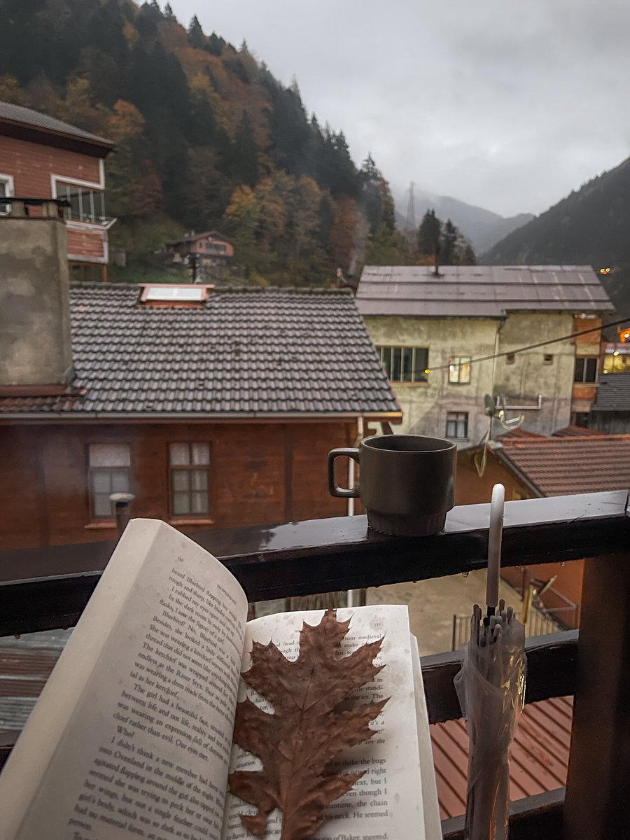 meshari.m tweet media