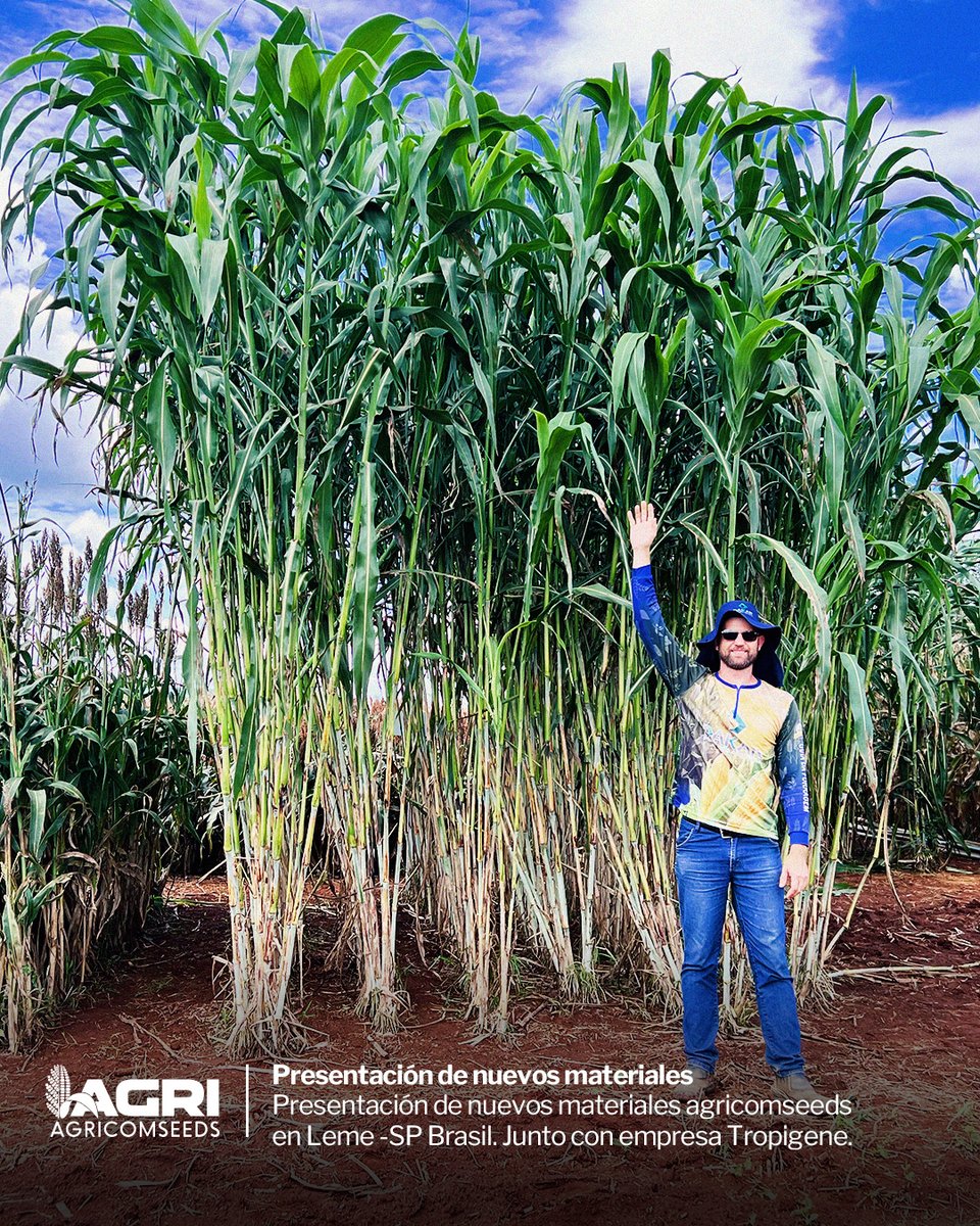AgricomseedsSRL's tweet photo. Presentación de nuevos materiales agricomseeds en Leme -SP Brasil. Junto con empresa Tropigene. https://t.co/V5l2tr3iJq
