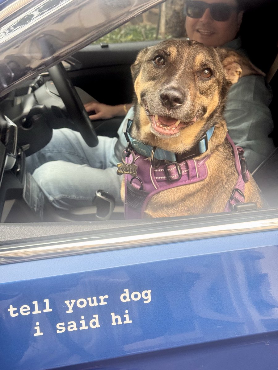 Bappi Rao tweet media