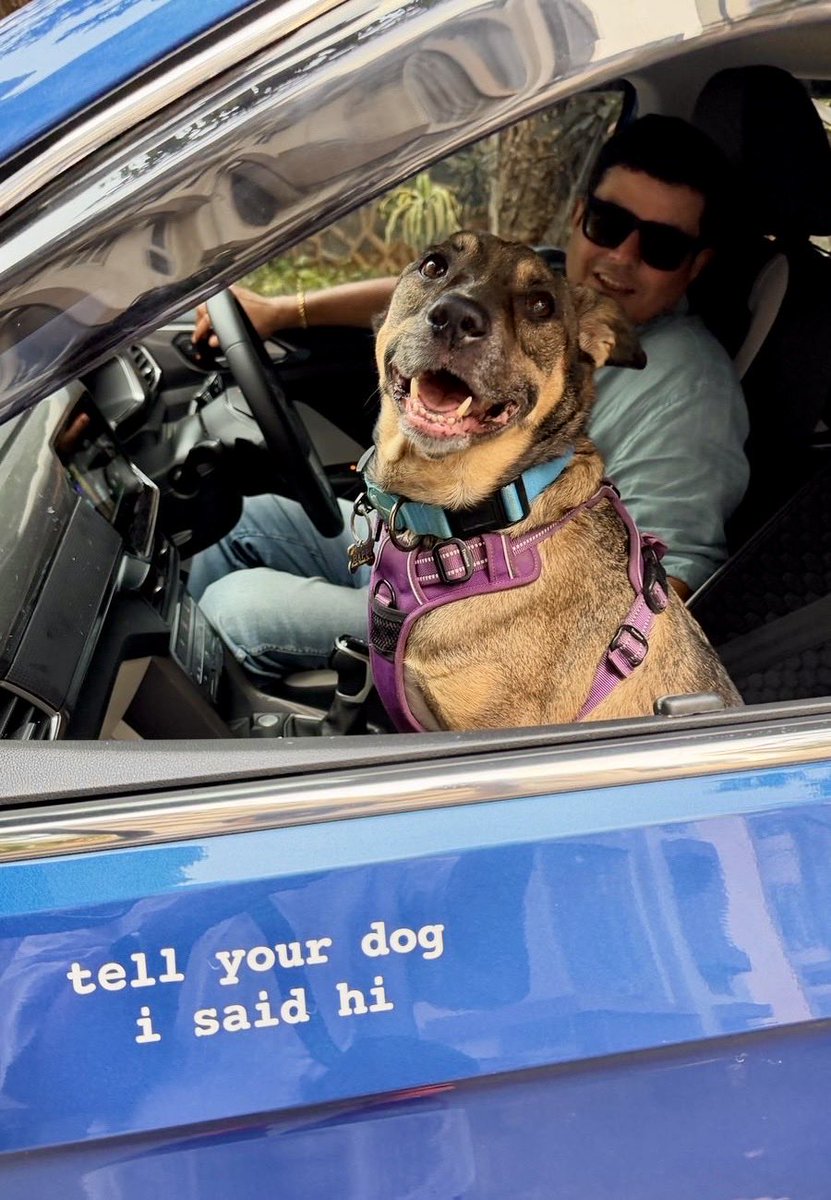 Bappi Rao tweet media