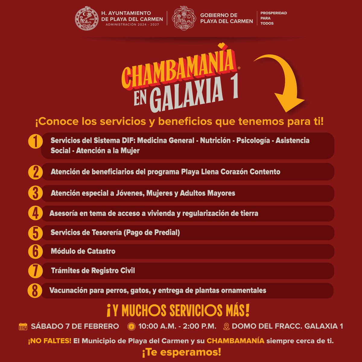 Ayuntamiento de Playa del Carmen tweet media