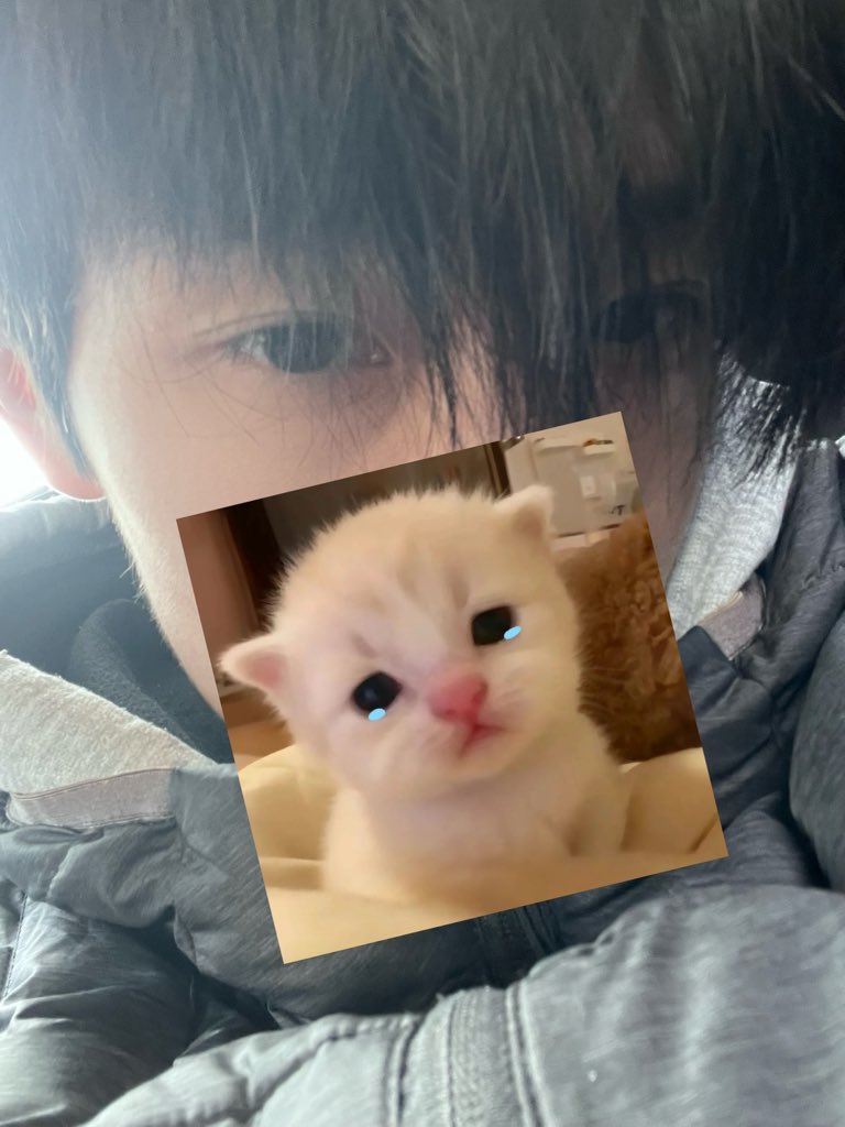 玻璃剑 tweet media