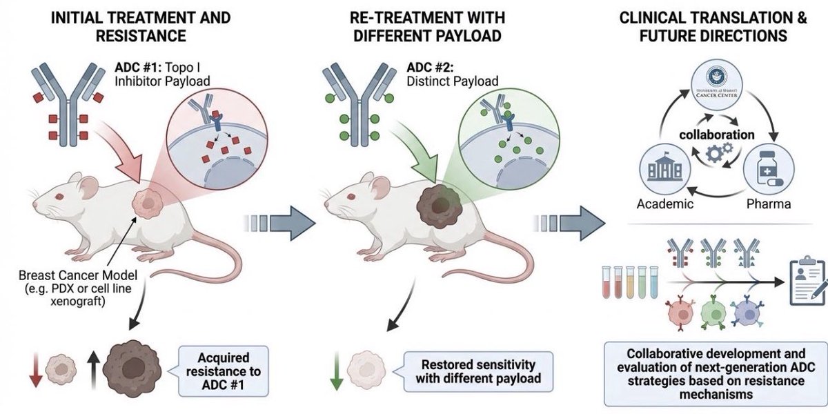 Naoto T Ueno, MD, PhD tweet media