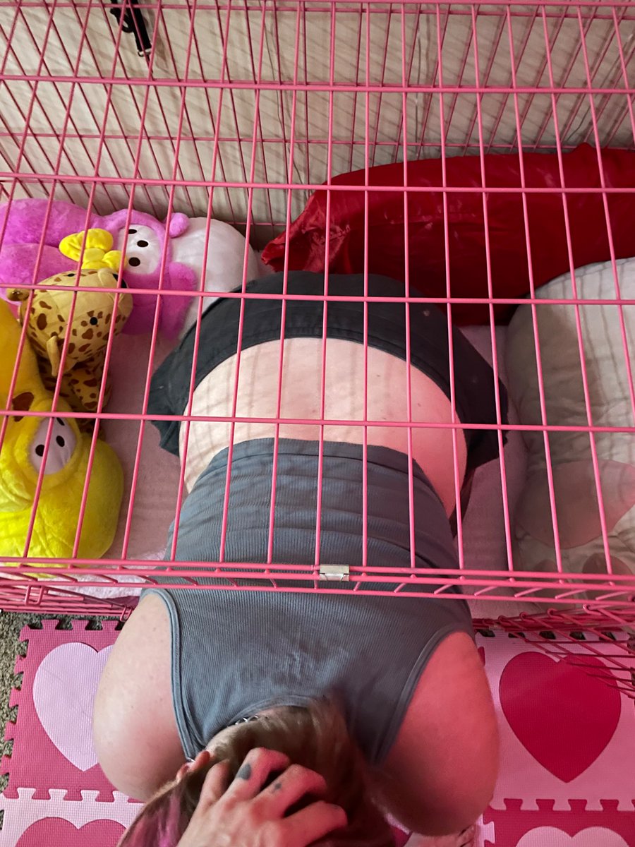 Sir got me a cage for Valentine’s Day 🥹🐶 I’m such a happy dog!!!