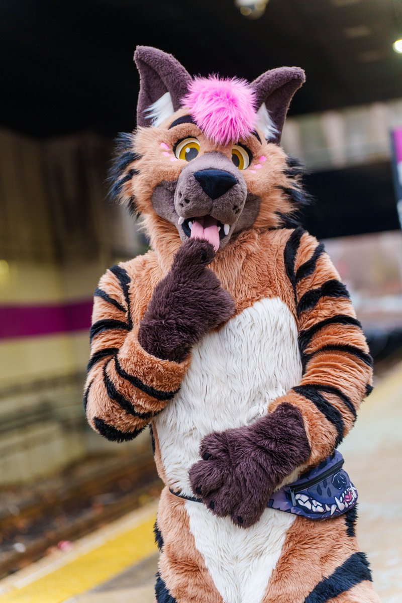 Jax Hyena / Glacier Husky 🔜 FE, AC tweet media