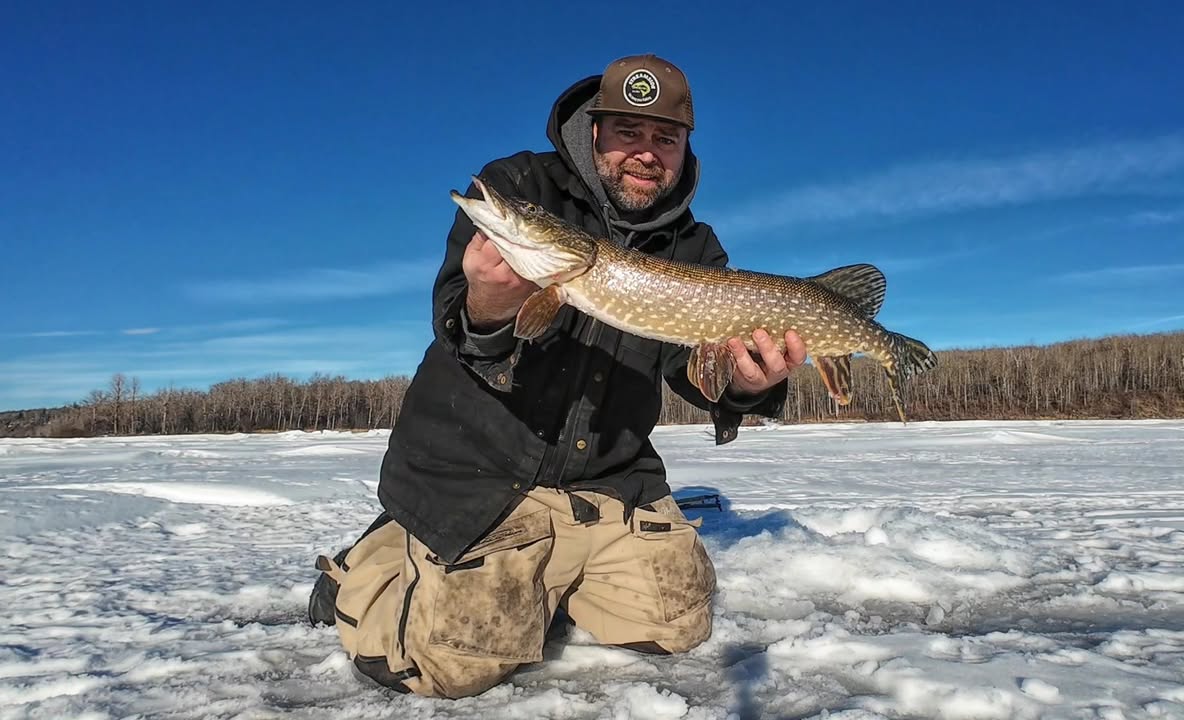 Professional Outdoor Media Association of Canada tweet media