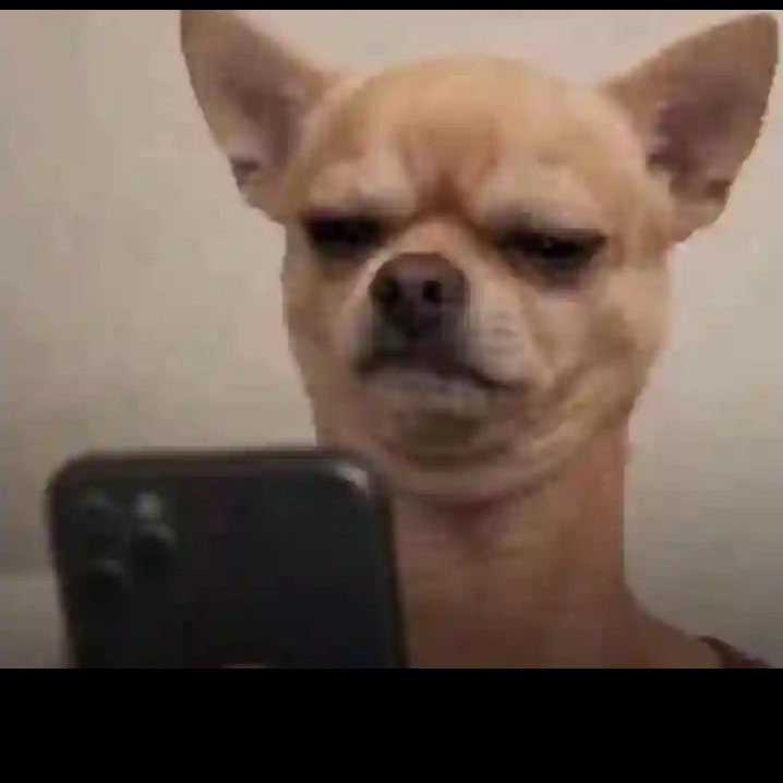 Blessin_Sun's tweet photo. I Know you love looking at the phone always to see that goodnews that has taken you years and months but don't worry, God is At Work https://t.co/waq2oaSm0g
