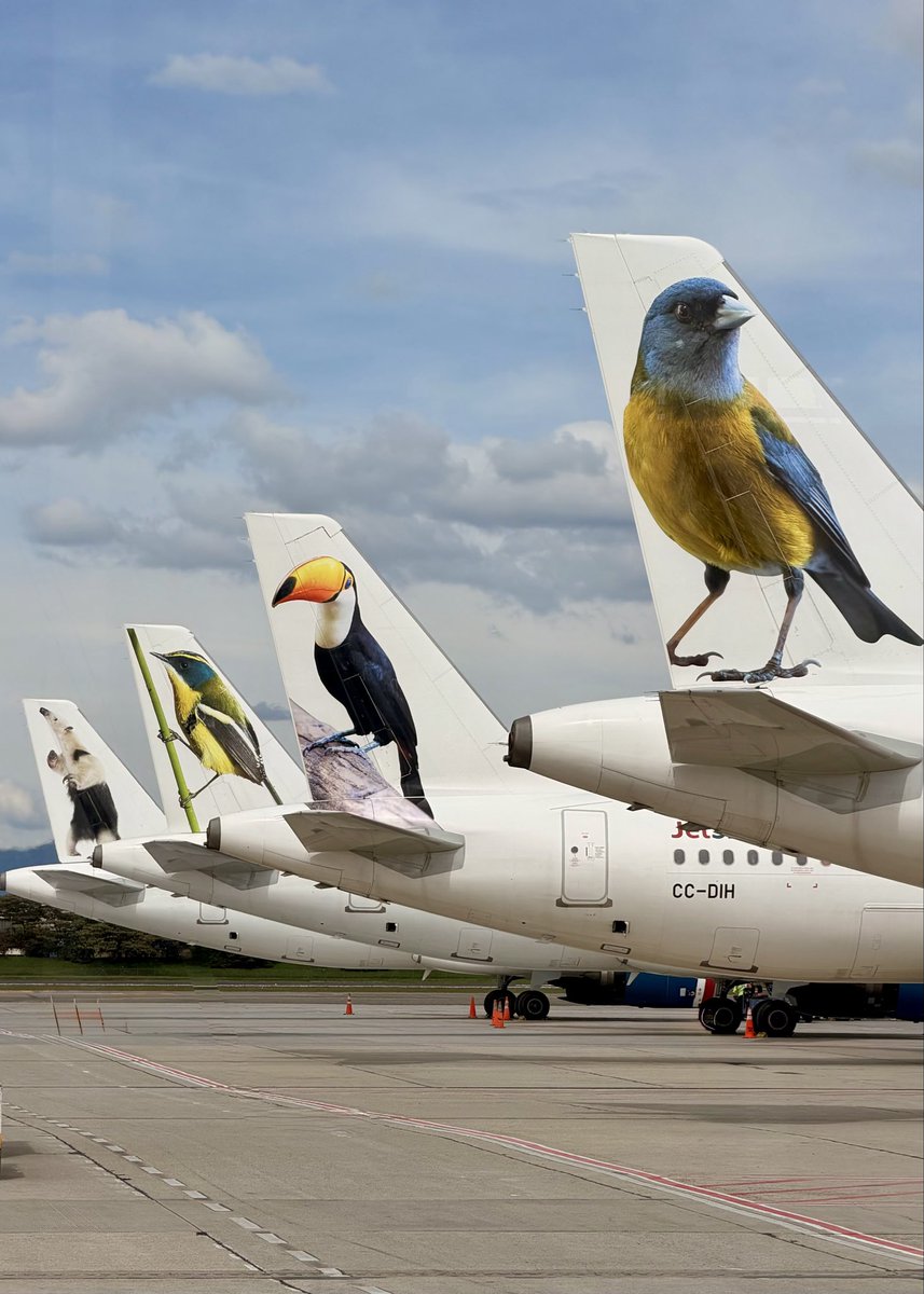 JetSMART tweet media