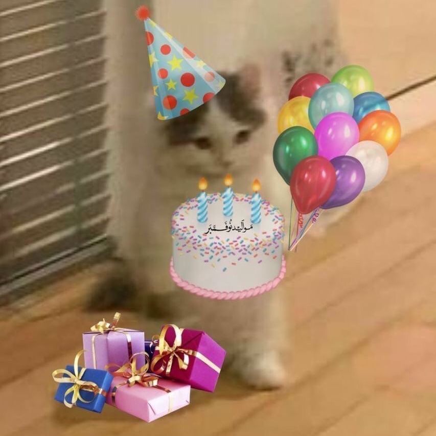 yxeoreum's tweet photo. @itaehyun According to science, birthdays make you cooler. Congratulations—! You’re officially cooler today. https://t.co/fV1rQ0drZg