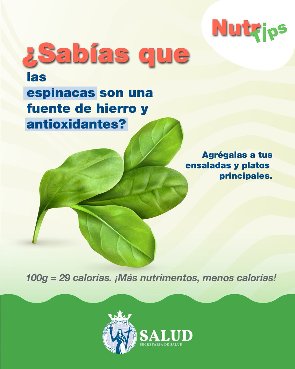 saludgobgente's tweet photo. ¡Dale un plus saludable a tus comidas!

Las hojas verdes no solo le dan color a tu plato, también te llenan de energía, cuida tu cuerpo con opciones frescas y ligeras.

#NutriTips #Saludable #SaludDeLaGente #GobiernoDeLaGente https://t.co/c26L1KLnlQ
