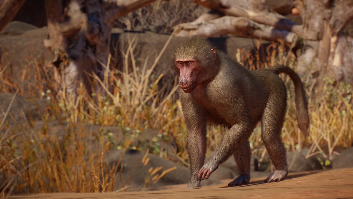 Cesar Creates tweet media