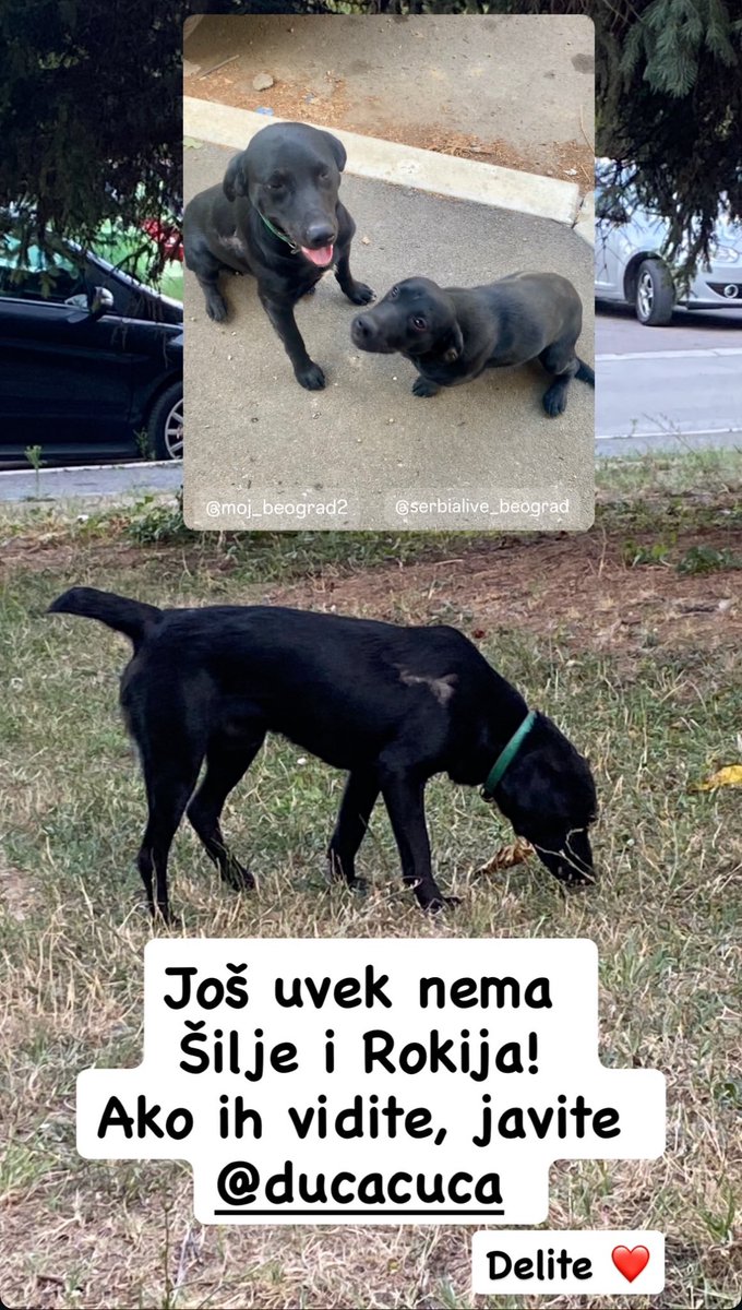 TMF BLOKADA tweet media