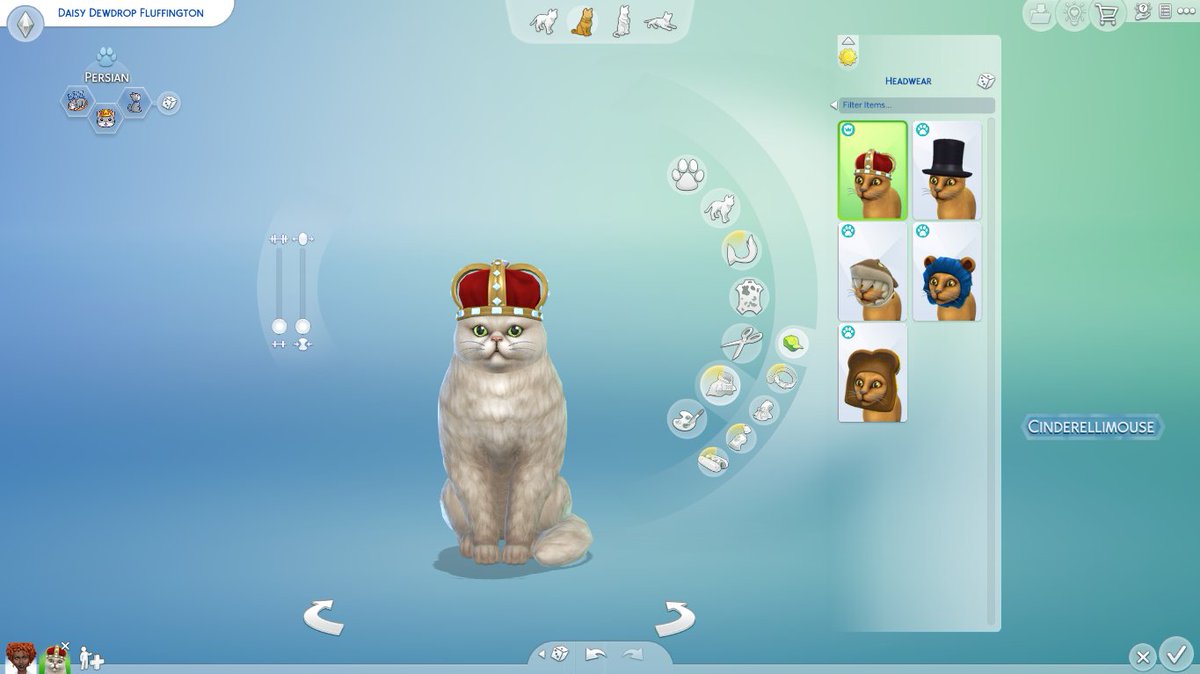 Cinderellimouse tweet media