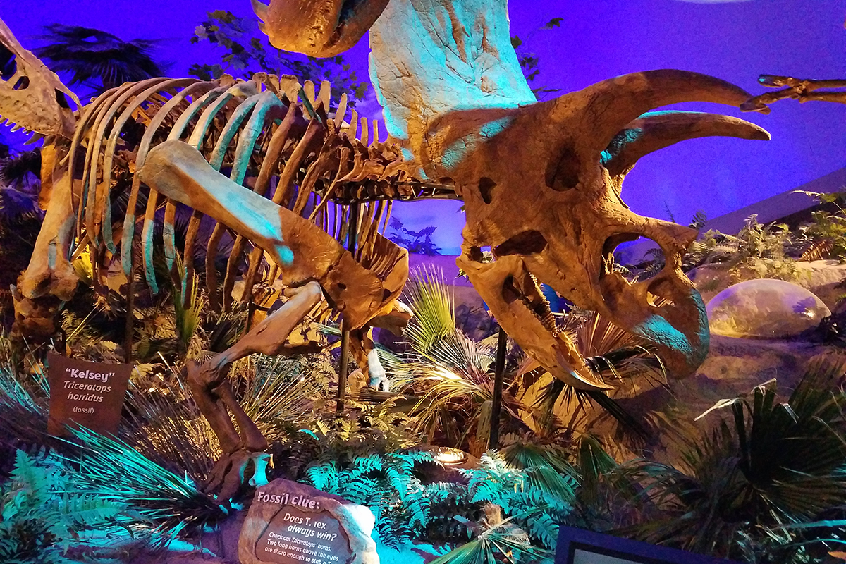 AM Middle School tweet media