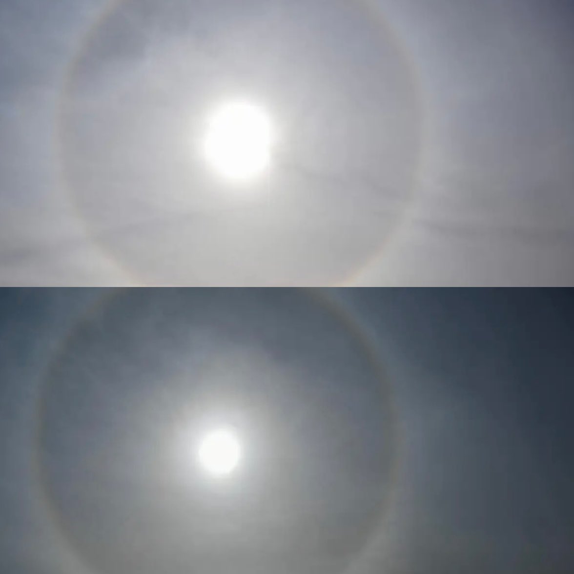 أخبار السعودية tweet media