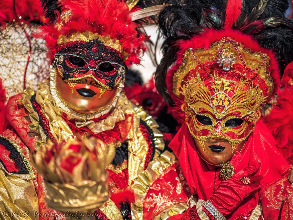 faustina gilbey tweet media