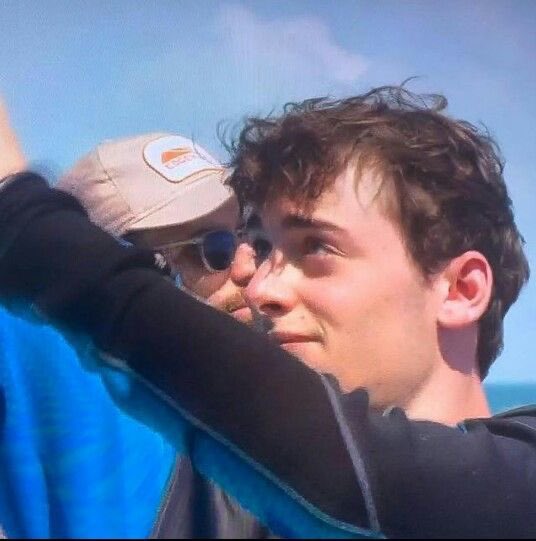 гвоздика tweet media