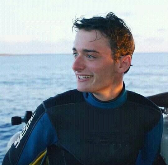 гвоздика tweet media