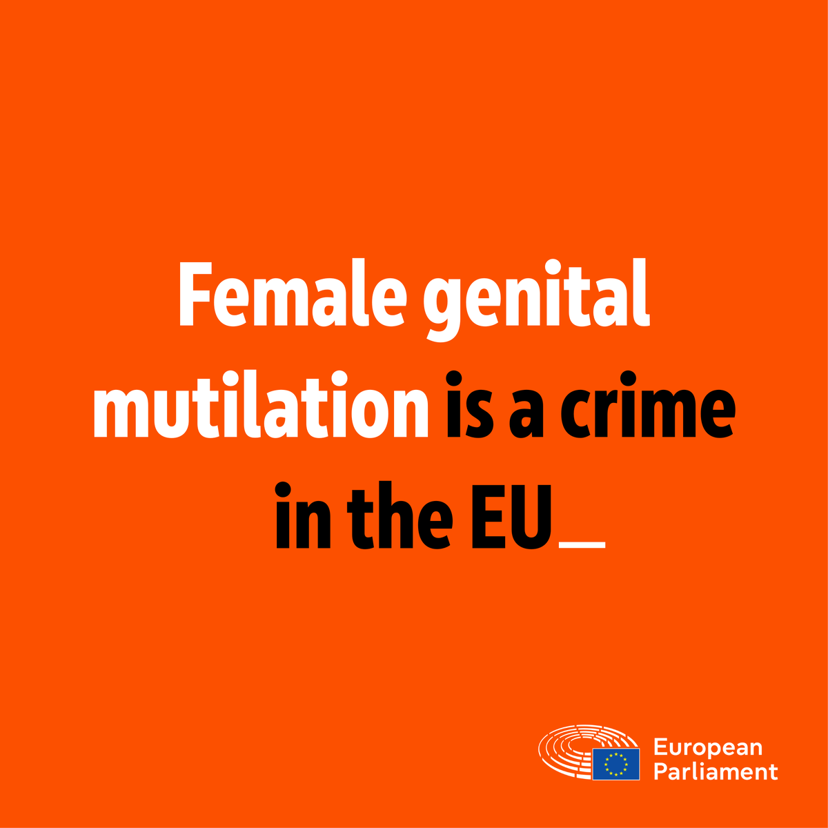 European Parliament tweet media