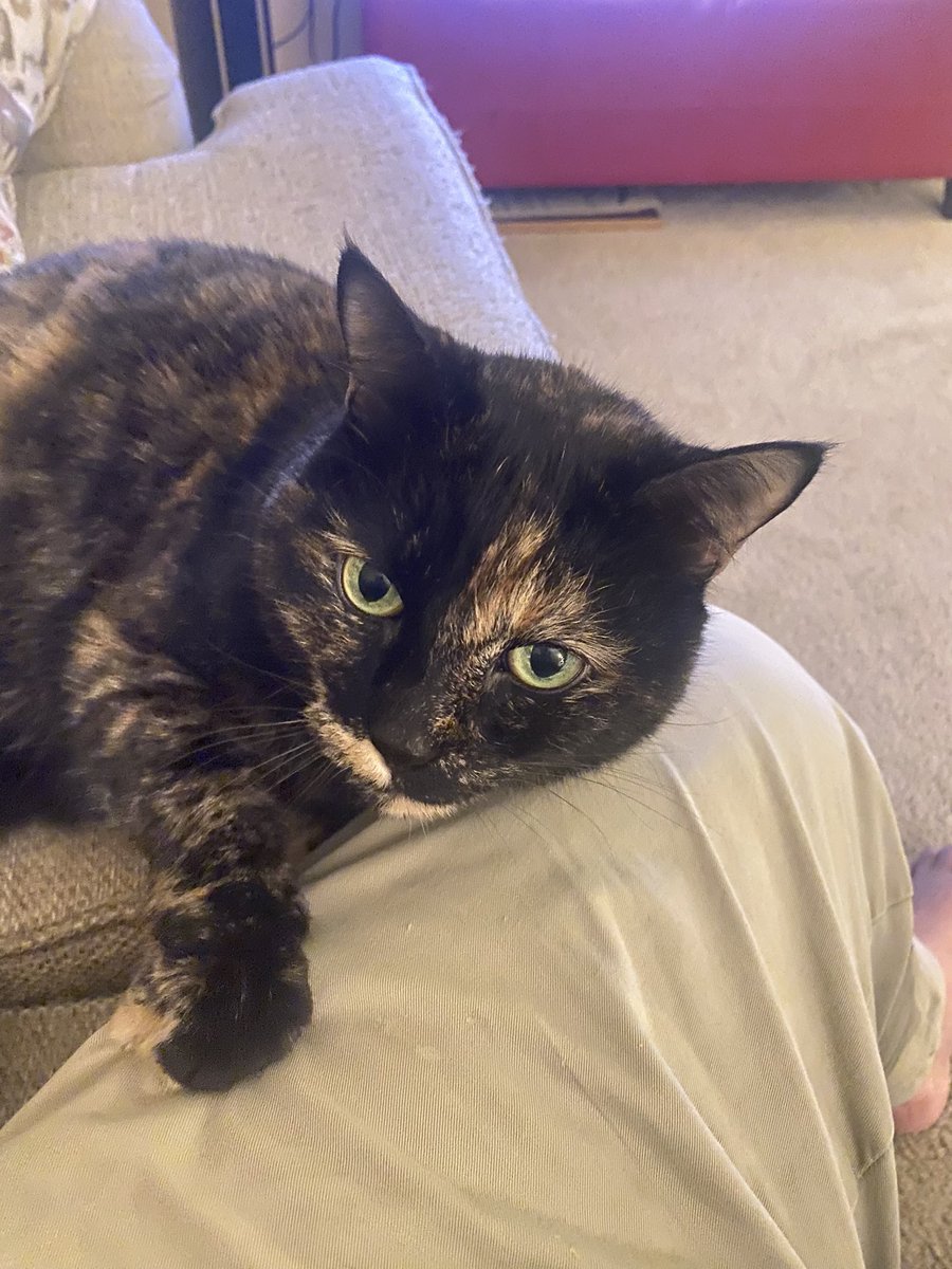 Sabrinashun tweet media