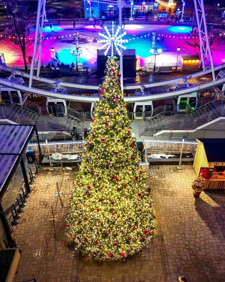 ClassicDisplays's tweet photo. Swipe for some gorgeous Christmas trees from past seasons! 🎄✨ 

If you’re dreaming of magical trees like these for the upcoming season, NOW’s the time to plan!

Browse our entire collection today: https://t.co/LRPSG1mmdV

#christmas #christmastree #eventplanning #christmasdecor https://t.co/bPCIydq82X