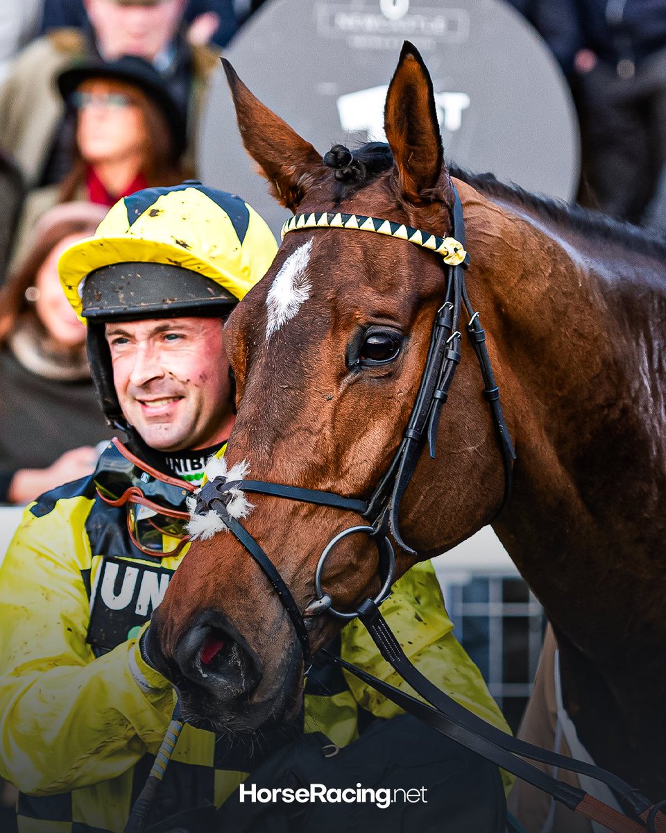 Fingers crossed for Sir Gino 🤞

After fracturing his pelvis in the International Hurdle, Nicky Henderson has announced that he is now fighting an infection.

🗣️ Nicky Henderson said: "His fracture is fine, but it’s an internal infection that he’s got.

"It’s moving to a