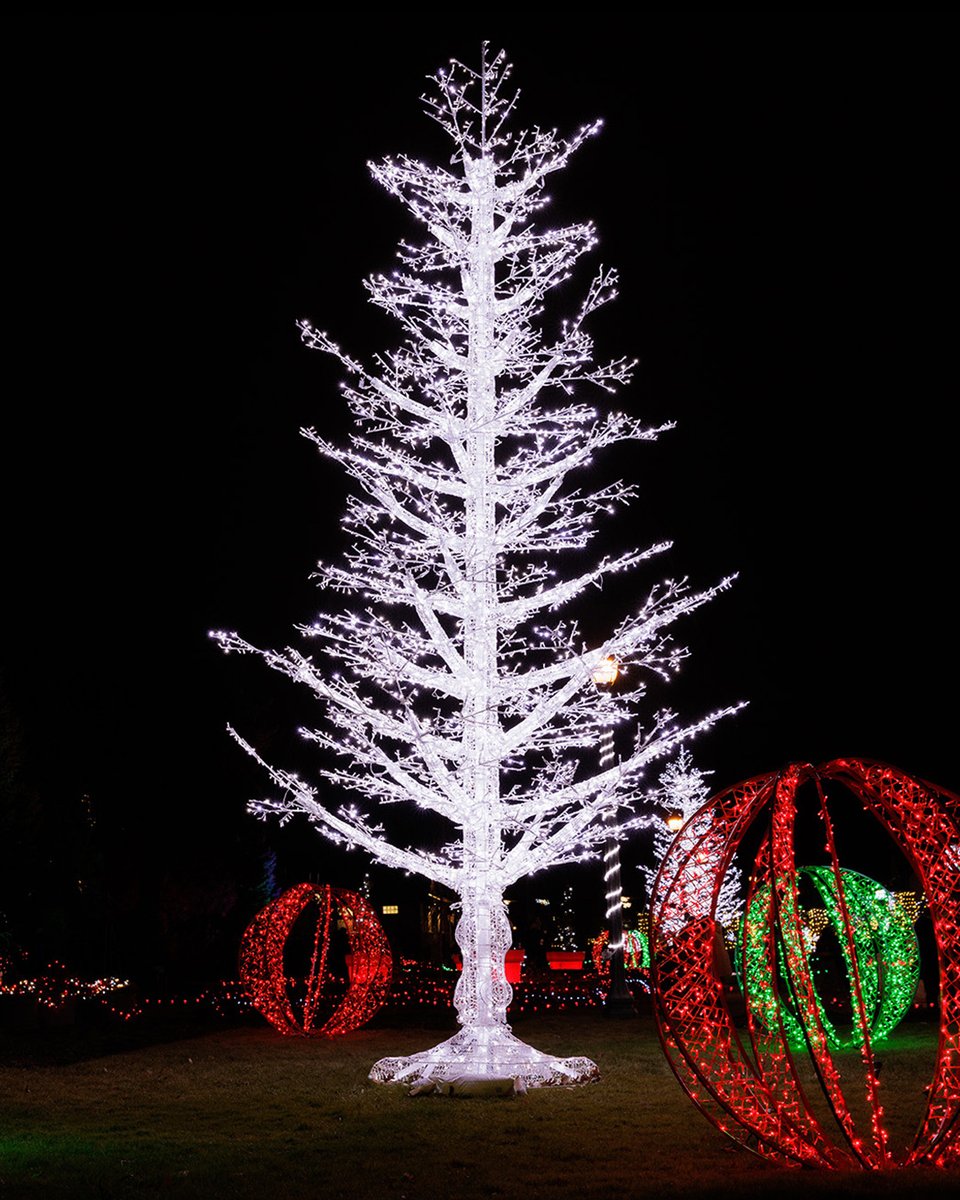ClassicDisplays's tweet photo. Swipe for some gorgeous Christmas trees from past seasons! 🎄✨ 

If you’re dreaming of magical trees like these for the upcoming season, NOW’s the time to plan!

Browse our entire collection today: https://t.co/LRPSG1mmdV

#christmas #christmastree #eventplanning #christmasdecor https://t.co/bPCIydq82X
