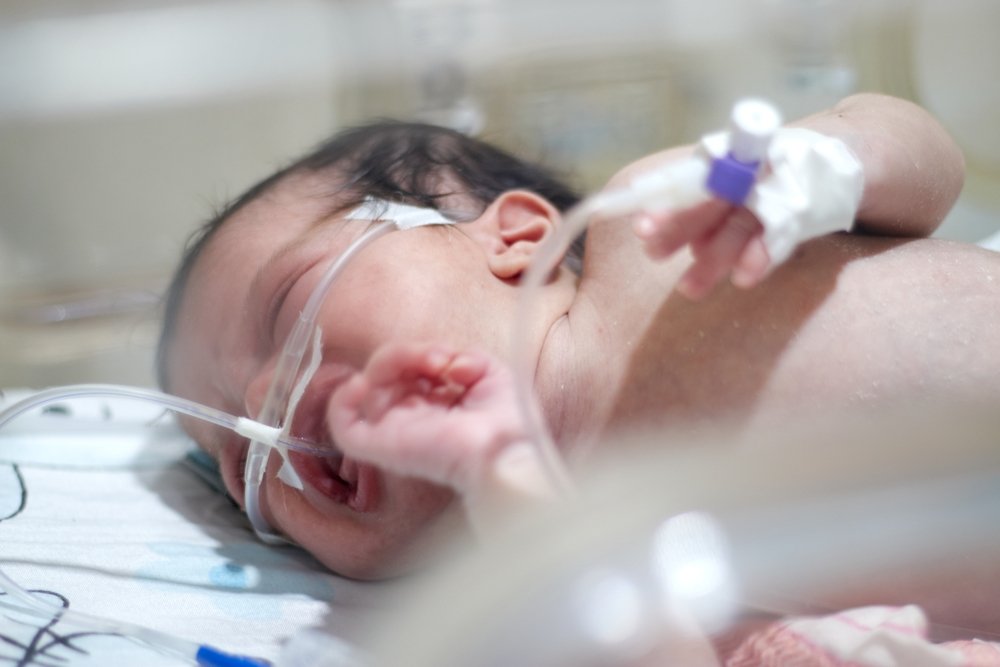 Samuel Lee tweet media