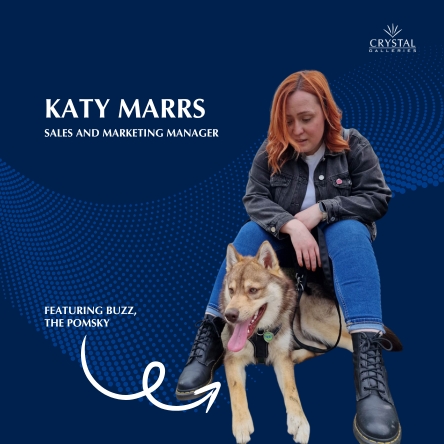 Have you met Katy (and Buzz) yet?

A few of you may have already had the pleasure of speaking with her, but if not, we’d love for you to get to know our newest recruit as she settles in to her new role. 

wix.to/pLACVuj