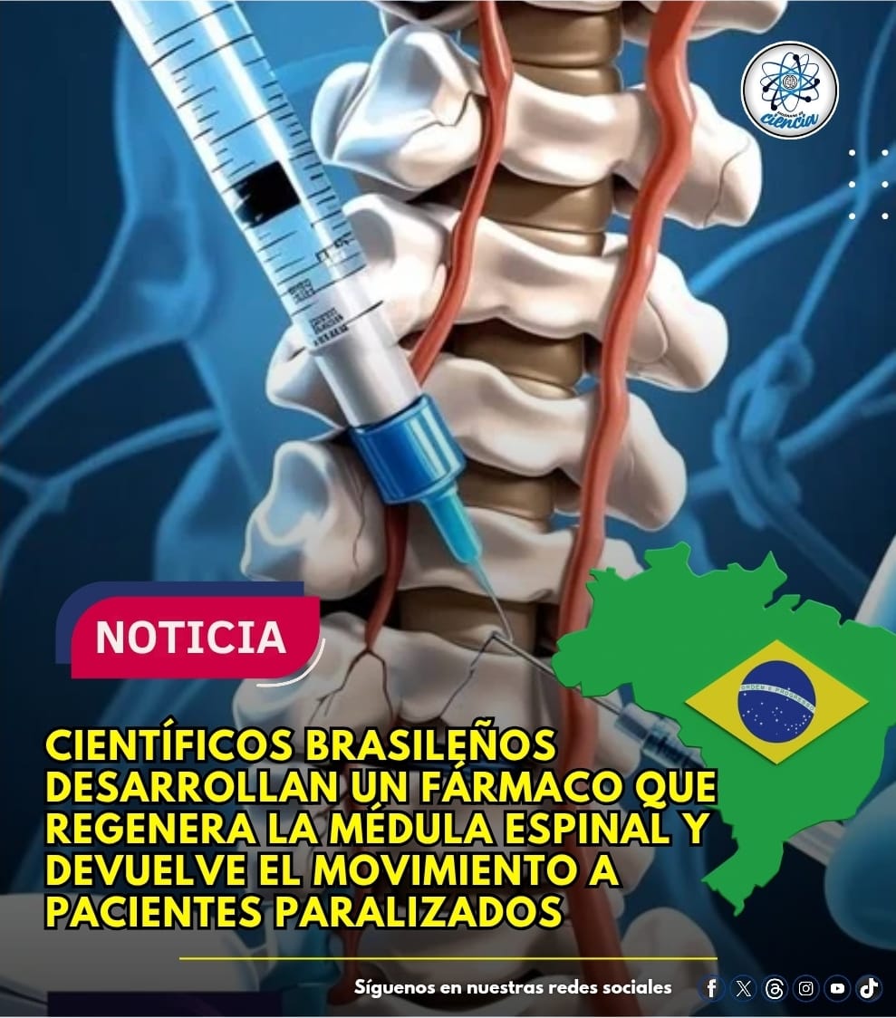 Investigadores de la Universidad Federal de Río de Janeiro ha marcado un importante hito dentro de la medicina. Tras más de 25 años de arduo trabajo, han sorprendido a la comunidad científica al crear un fármaco que ayudará a reactivar conexiones dañadas en la médula espinal.

Se