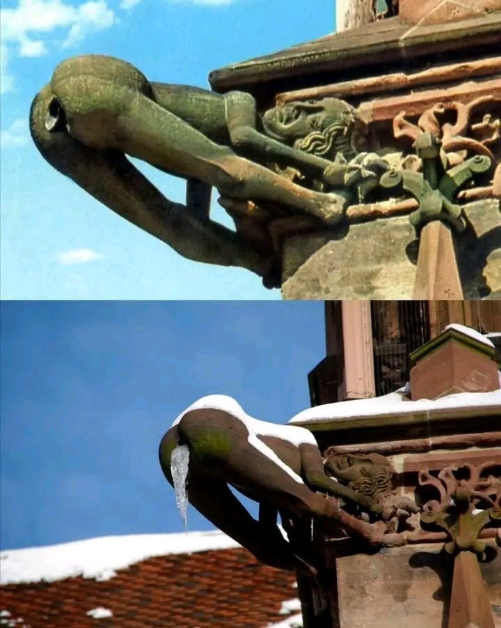 The "Mooning Gargoyle" located on the Freiburg Minster (cathedral) in Germany.