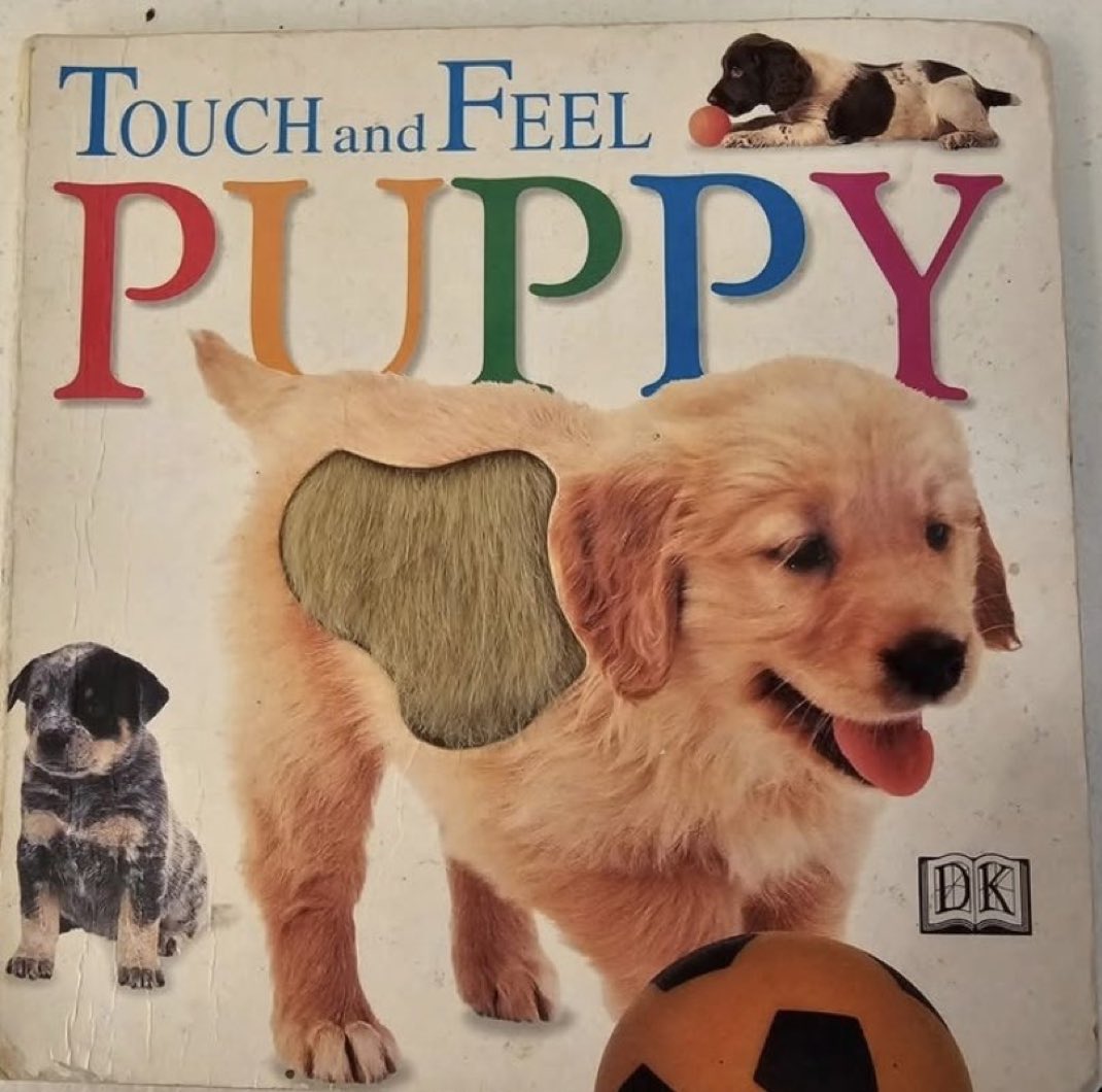 doubtpointv2's tweet image. How strange it is to be anything at all