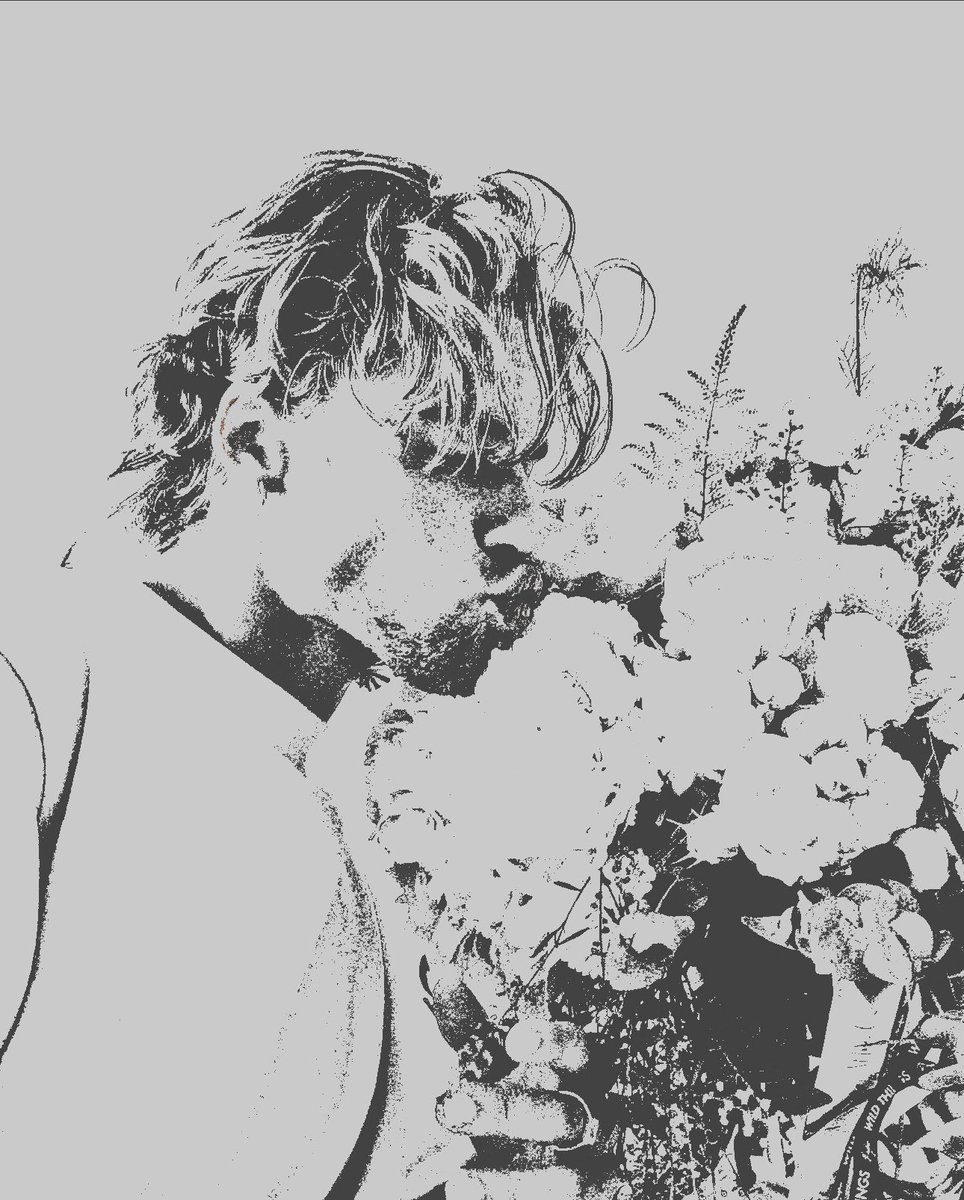 bjørk. tweet media