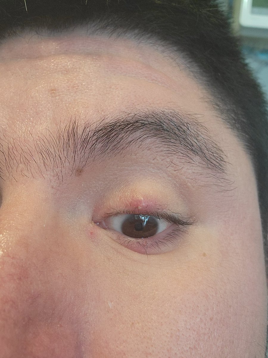 Gabriel Silva PG ACCOUNT tweet media