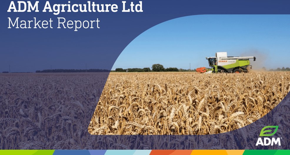 ADMAgriculture's tweet photo. ADM Agriculture Weekly Market Update 🌾📈

Stay up to date with the latest developments from our traders across agricultural markets. Giving you insights that help you plan more effectively and maximise results for your business.

Read the full report: https://t.co/yNZMflVeoJ https://t.co/SVglaxNjcb