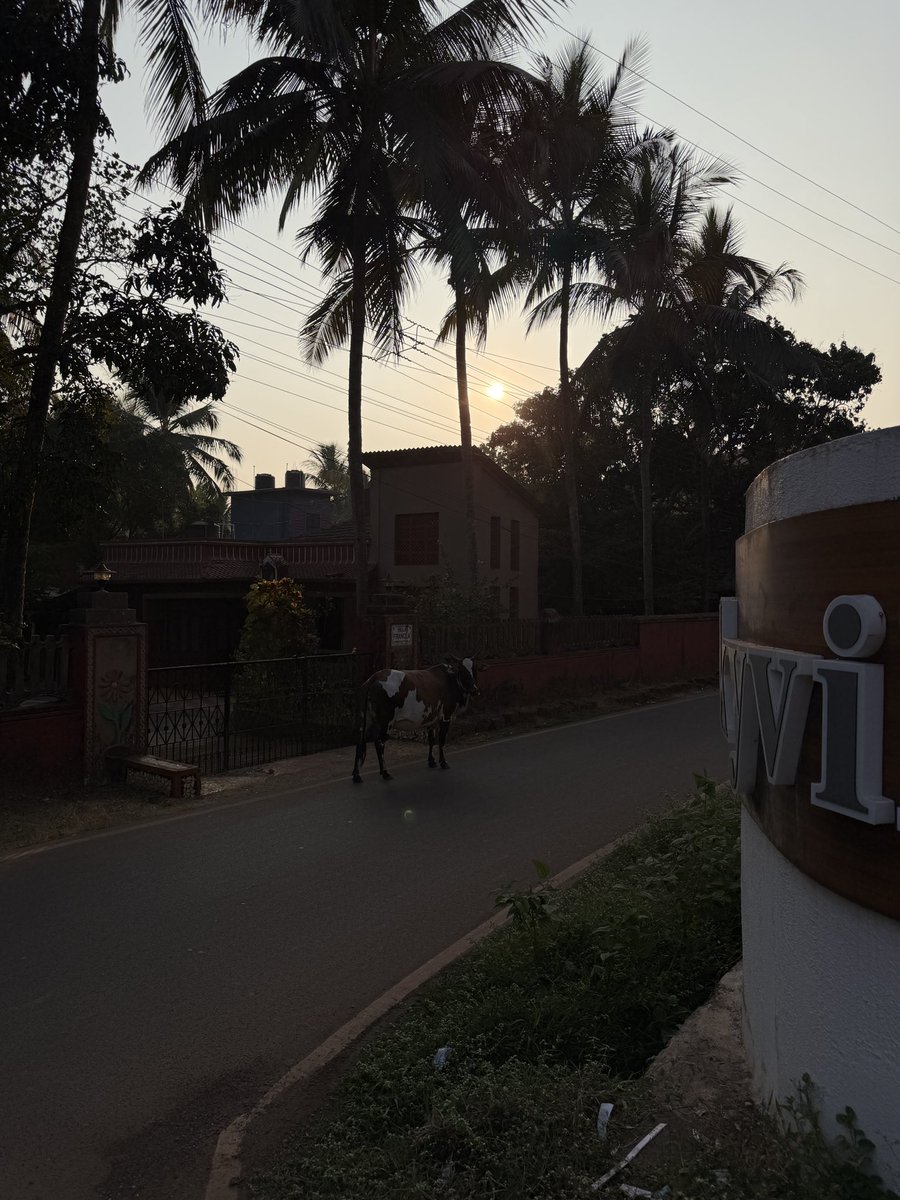 bashrrrrr's tweet image. such a pretty place man