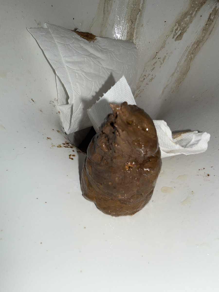 Scatsublj tweet media