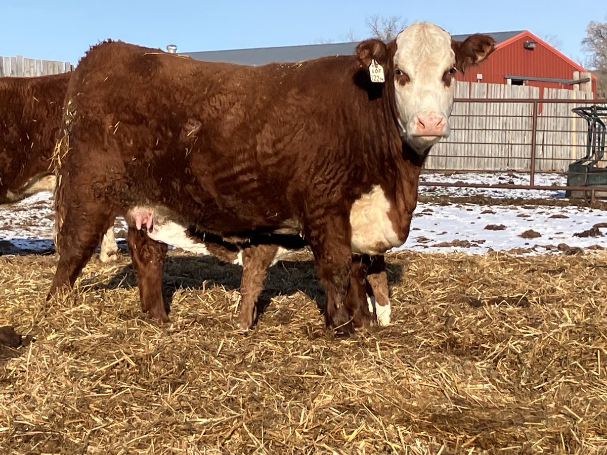 Conrad Fenton tweet media