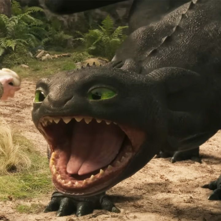 Toothless tweet media