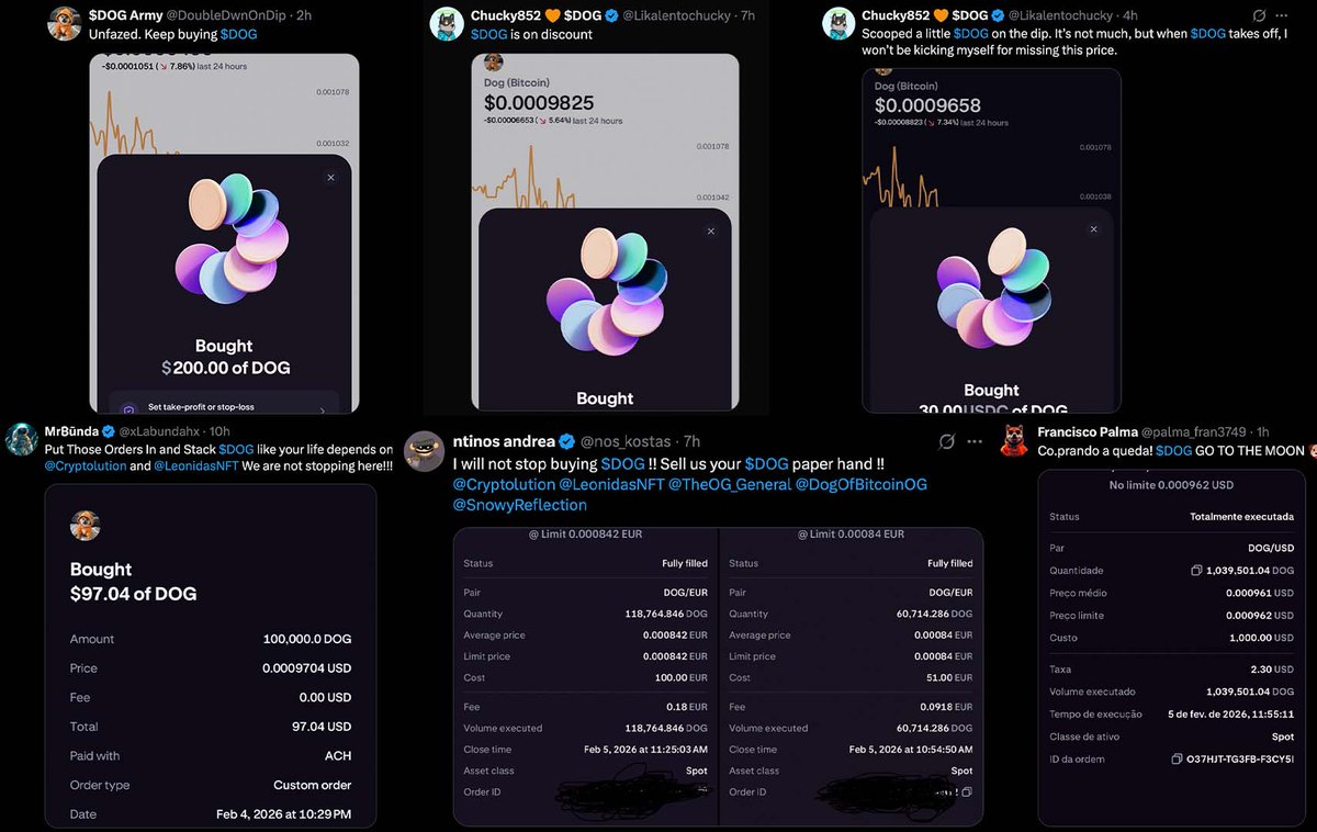 Vincent (Cryptolution) 👑 tweet media