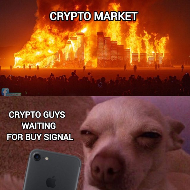 Castillo Trading tweet media