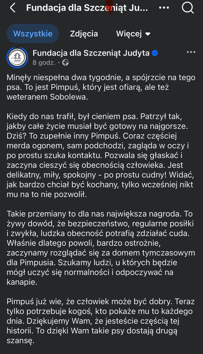 KSzalew tweet picture